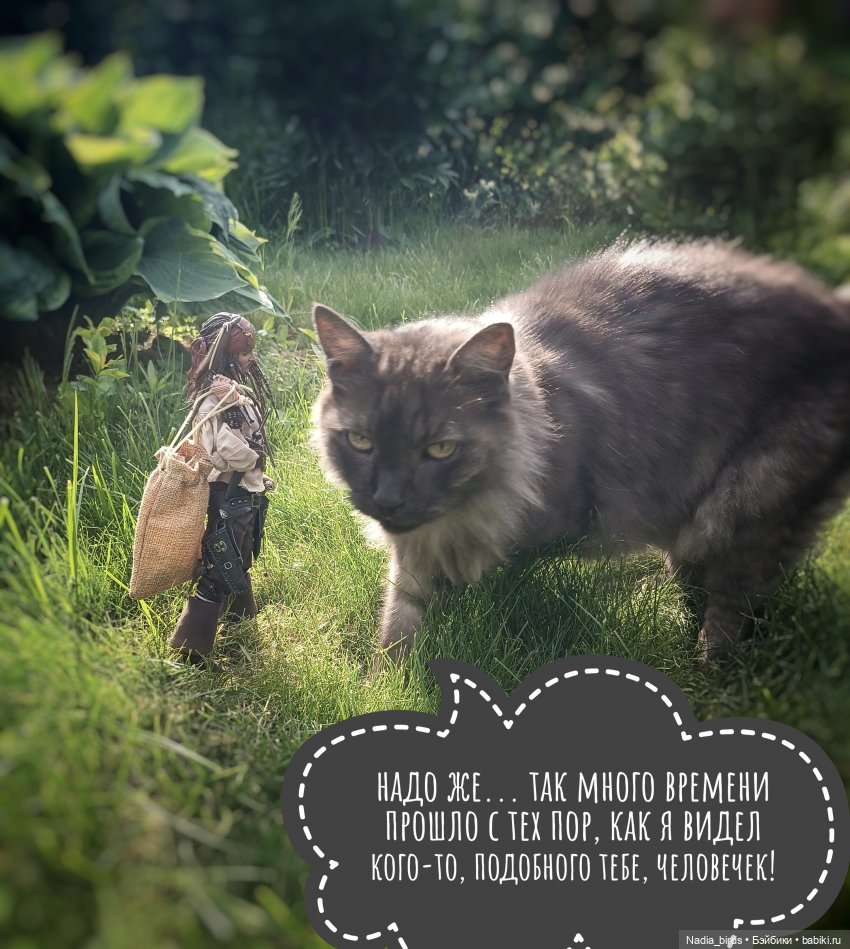 Приключения Капитана: гигантский Кот (фото 7)