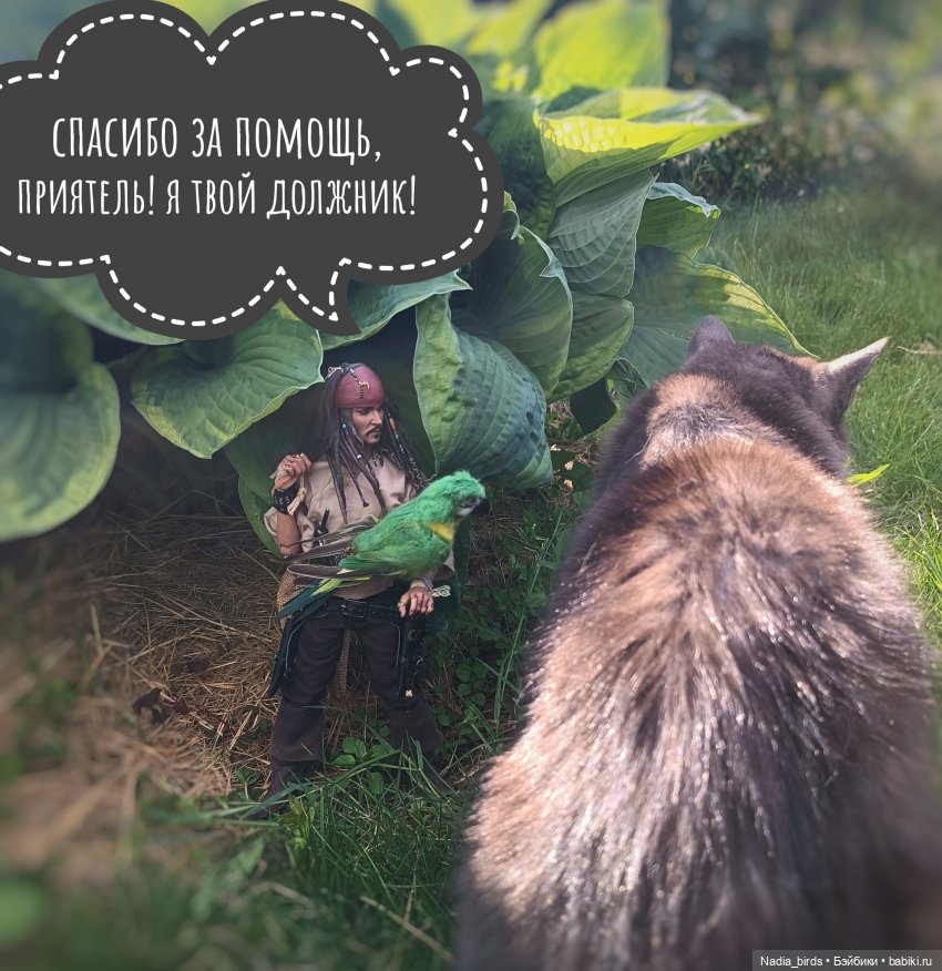 Приключения Капитана: гигантский Кот