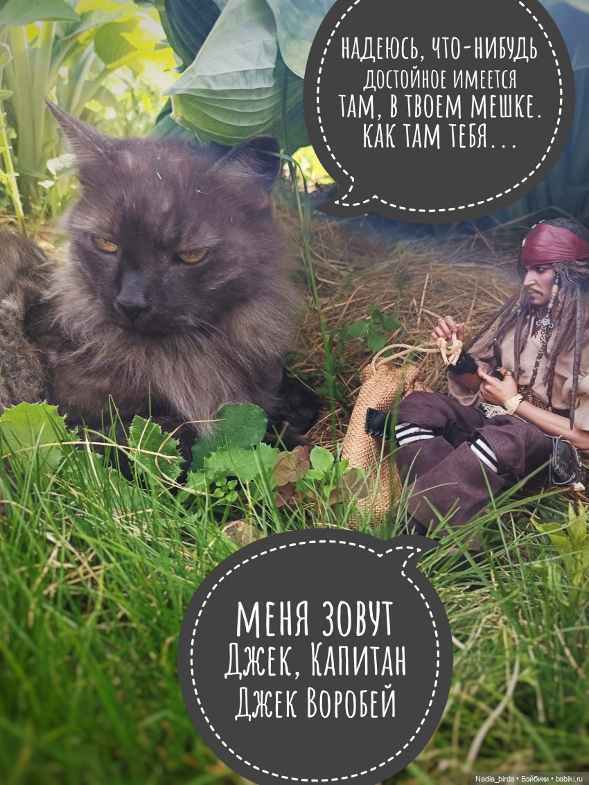 Приключения Капитана: гигантский Кот