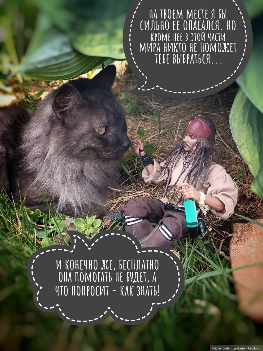 Приключения Капитана: гигантский Кот