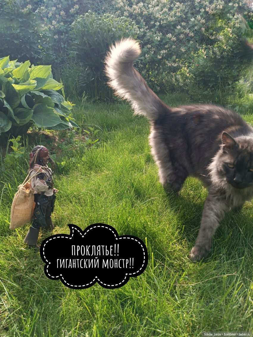 Приключения Капитана: гигантский Кот (фото 6)