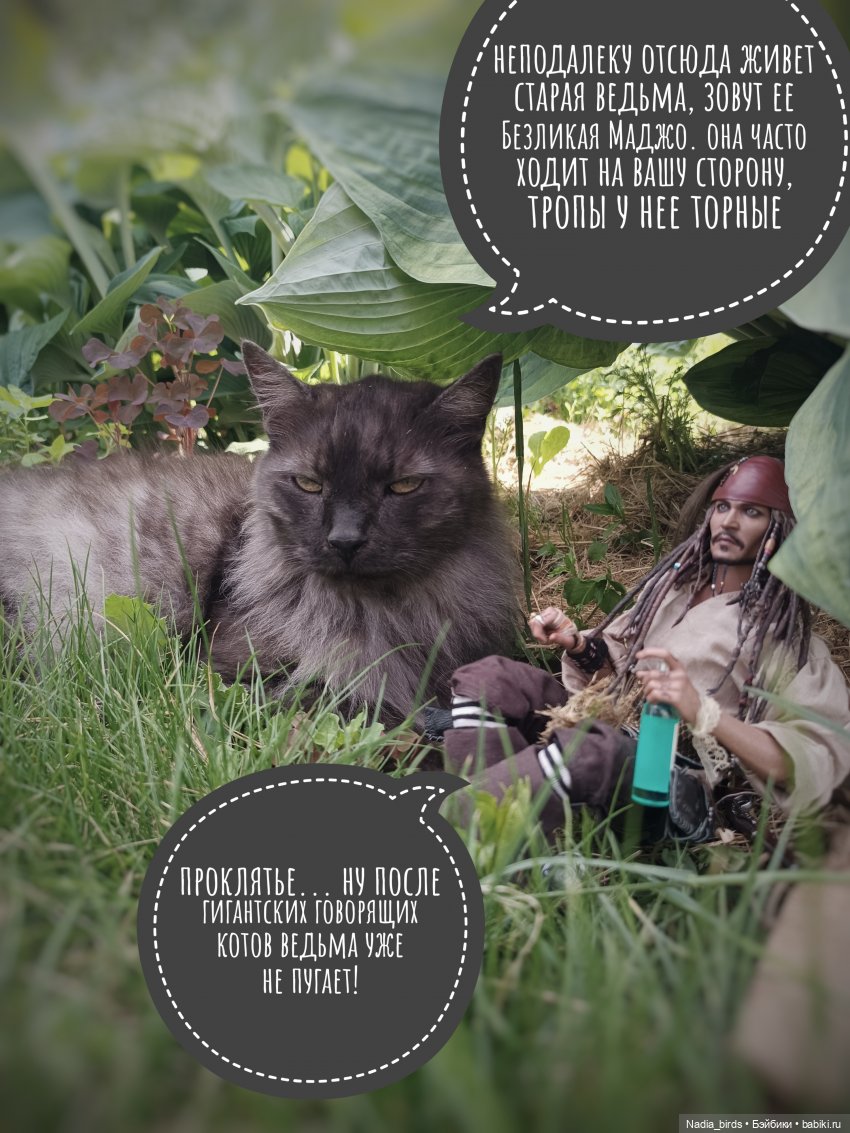 Приключения Капитана: гигантский Кот