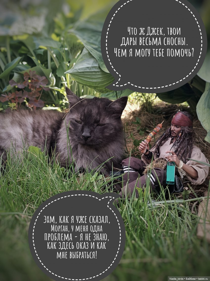 Приключения Капитана: гигантский Кот