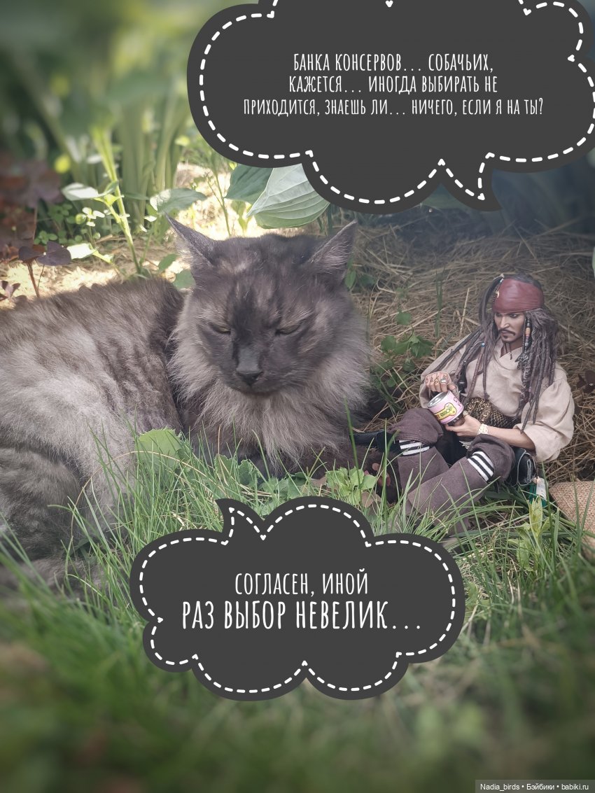 Приключения Капитана: гигантский Кот