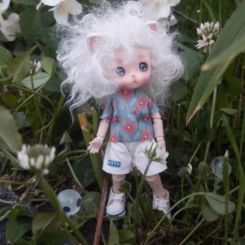 Котик Оливер в отпуске