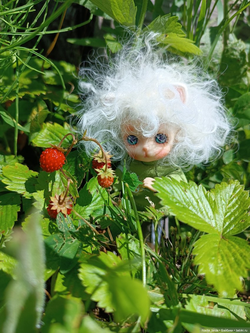 Оливер на прогулке — Валяные игрушки из шерсти: сухое валяние (фото 10)