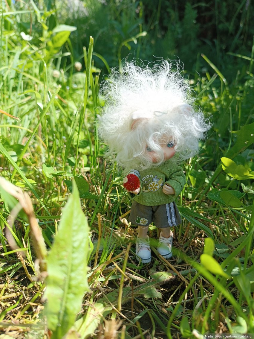 Оливер на прогулке — Валяные игрушки из шерсти: сухое валяние