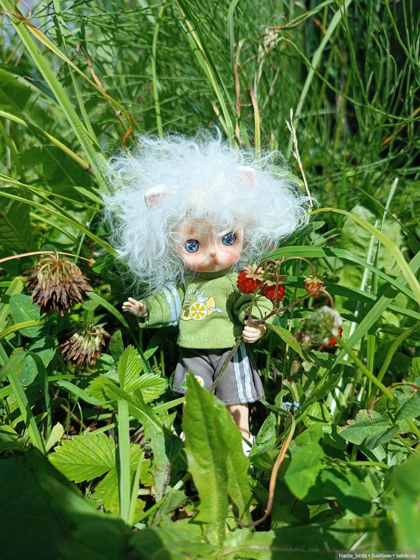 Оливер на прогулке — Валяные игрушки из шерсти: сухое валяние