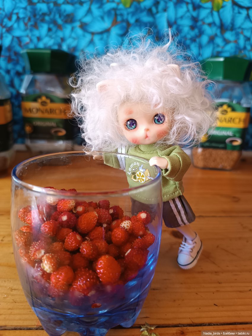 Оливер на прогулке — Валяные игрушки из шерсти: сухое валяние