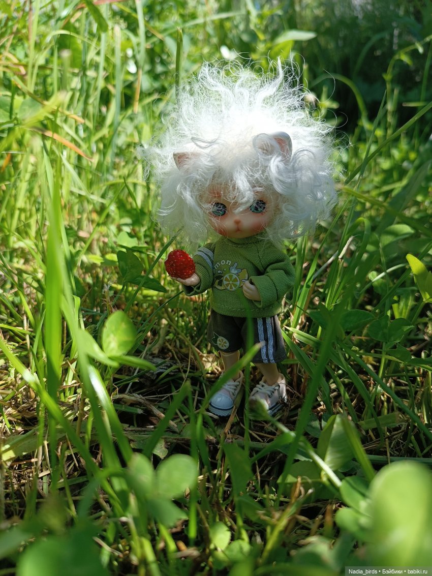 Оливер на прогулке — Валяные игрушки из шерсти: сухое валяние