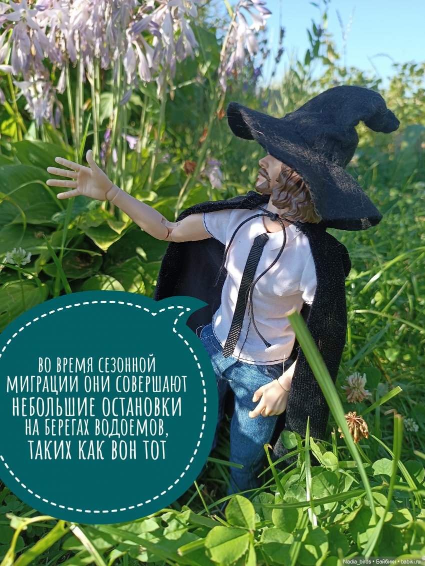 Ведьмолавка. Практикум с мантикорой (фото 7)