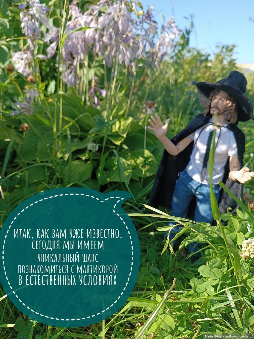 Ведьмолавка. Практикум с мантикорой (фото 4)