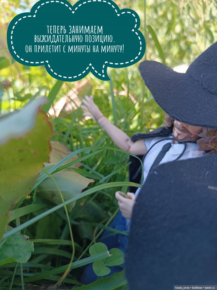 Ведьмолавка. Практикум с мантикорой