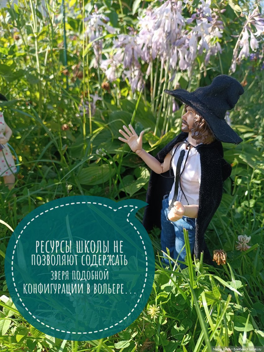 Ведьмолавка. Практикум с мантикорой (фото 5)
