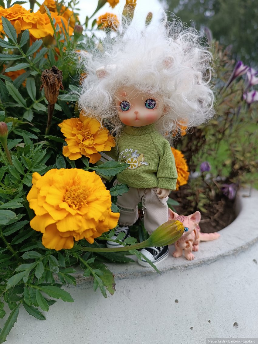 Уик-энд малыша Оливера — Разные шарнирные куклы (не БЖД): редкие (фото 4)