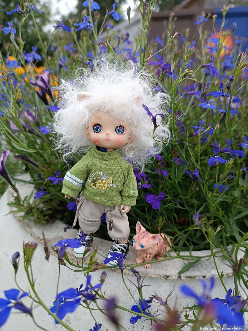 Уик-энд малыша Оливера — Разные шарнирные куклы (не БЖД): редкие (фото 5)