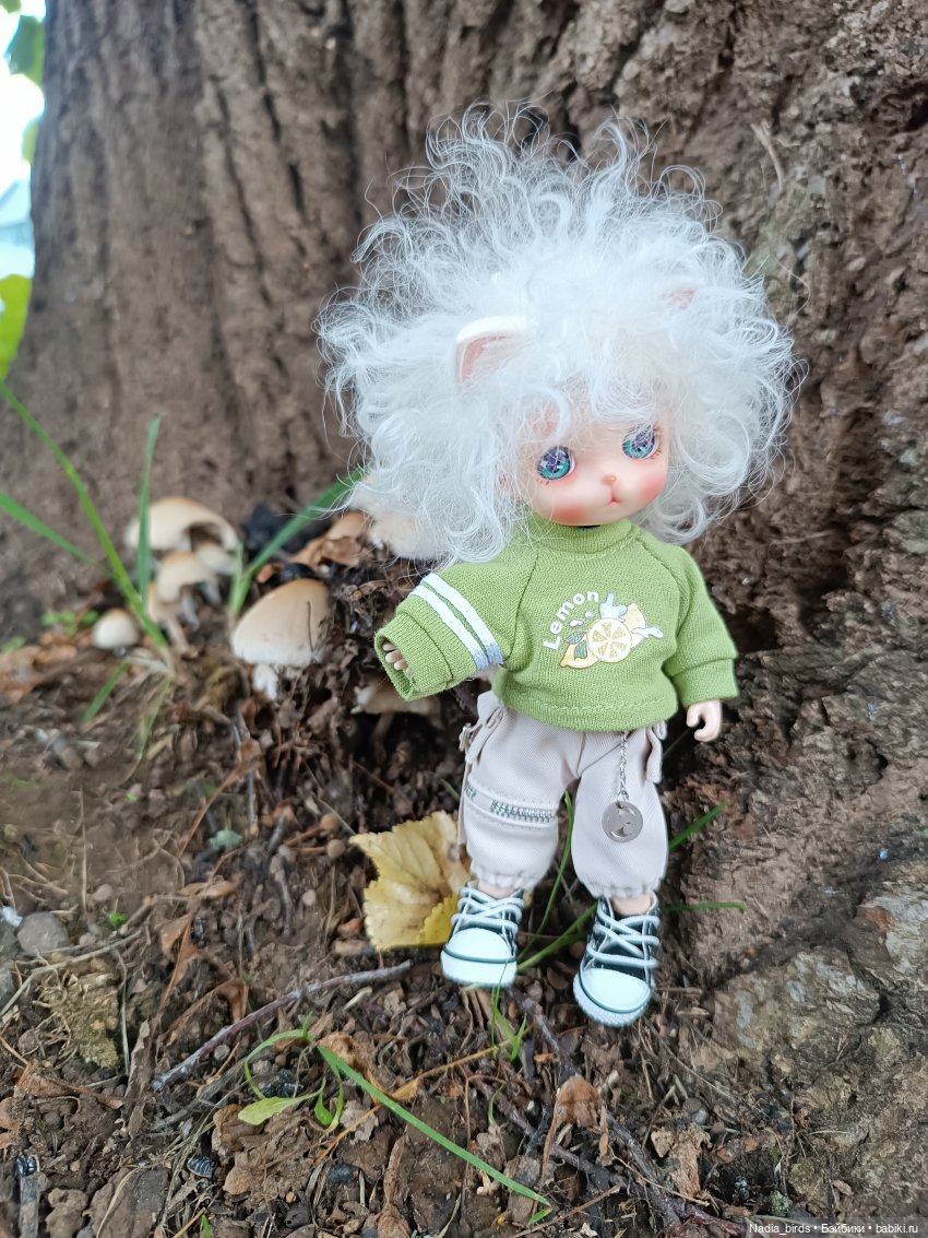 Уик-энд малыша Оливера — Разные шарнирные куклы (не БЖД): редкие (фото 7)