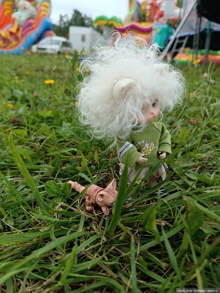 Уик-энд малыша Оливера — Разные шарнирные куклы (не БЖД): редкие (фото 9)