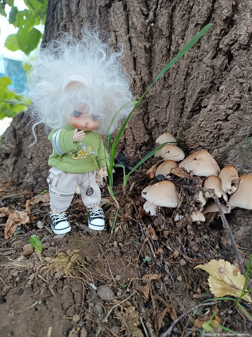 Уик-энд малыша Оливера — Разные шарнирные куклы (не БЖД): редкие (фото 6)