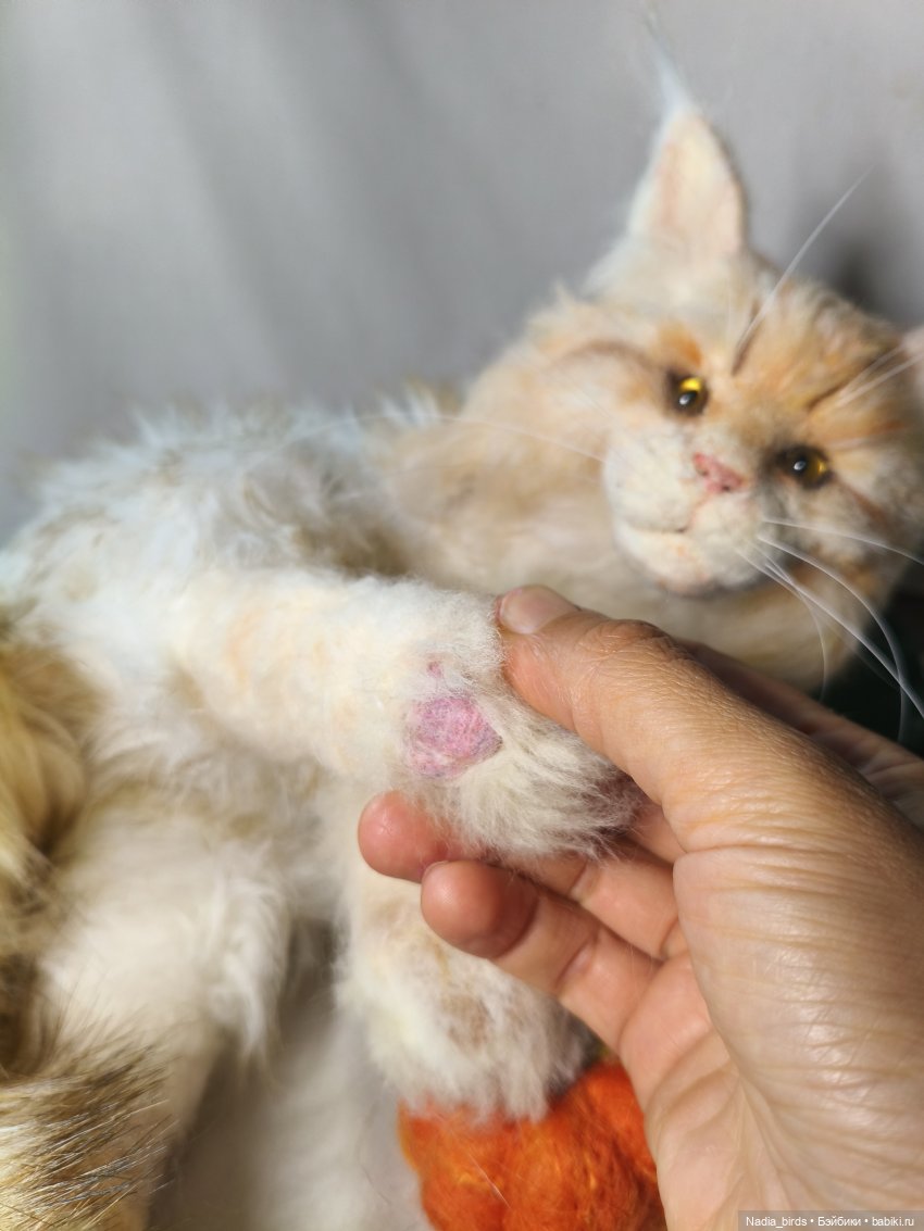 "Мааам, пьявда я кьясиви?" (Рафаэль))