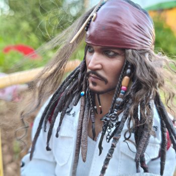 Дачные дела, или эксплуатация доверчивых пиратов