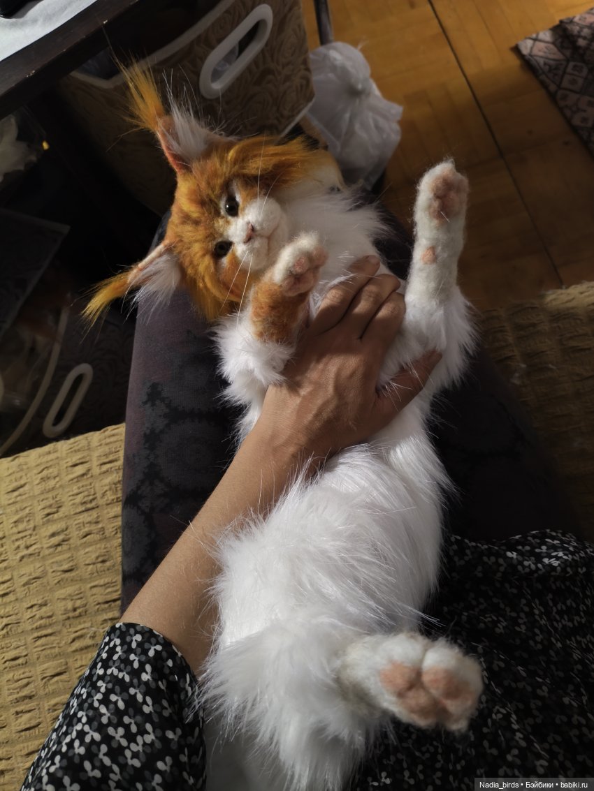 Уилфред. Спокойное достоинство (фото 6)