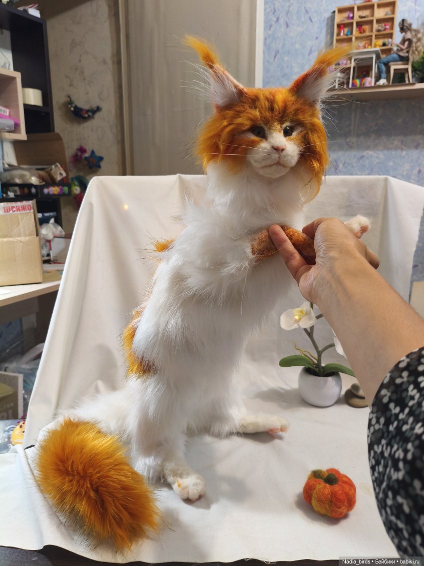 Уилфред. Спокойное достоинство (фото 5)