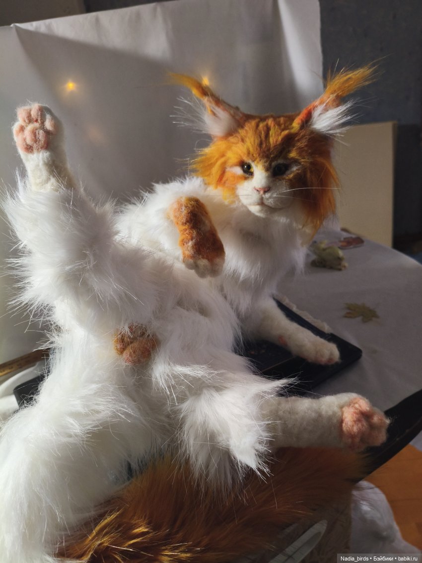 Уилфред. Спокойное достоинство (фото 10)