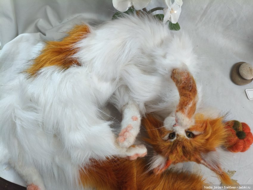 Уилфред. Спокойное достоинство (фото 8)