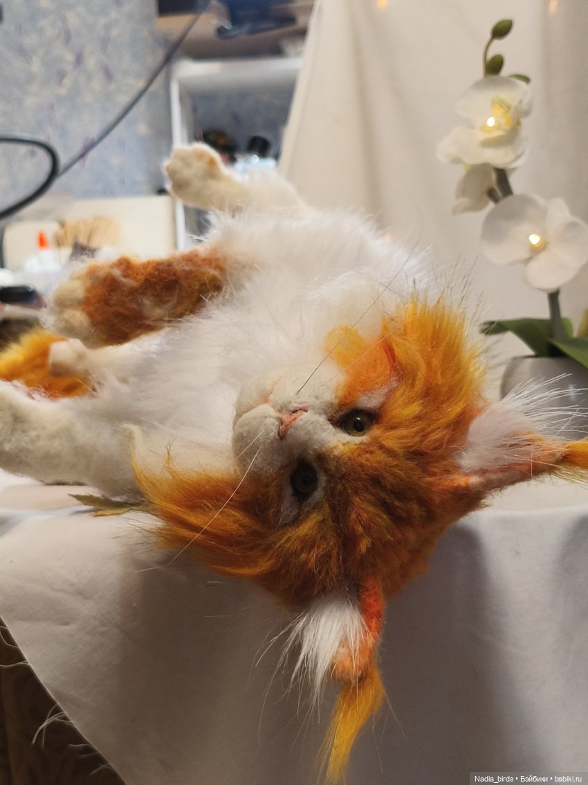 Уилфред. Спокойное достоинство (фото 7)