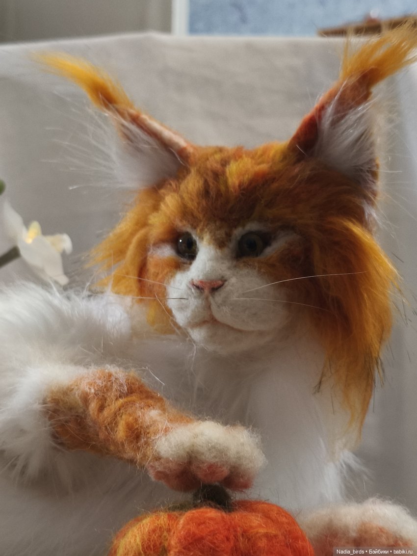 Уилфред. Спокойное достоинство (фото 2)