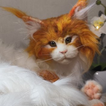 Уилфред. Спокойное достоинство