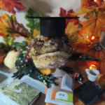 Мудрая жаба