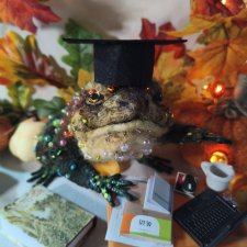 Мудрая жаба