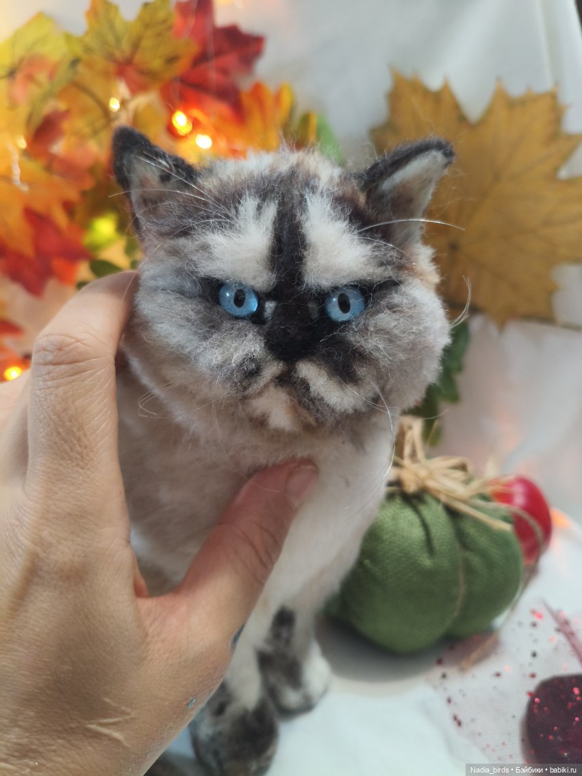 Недобрый вечер. Котопортрет-) (фото 7)