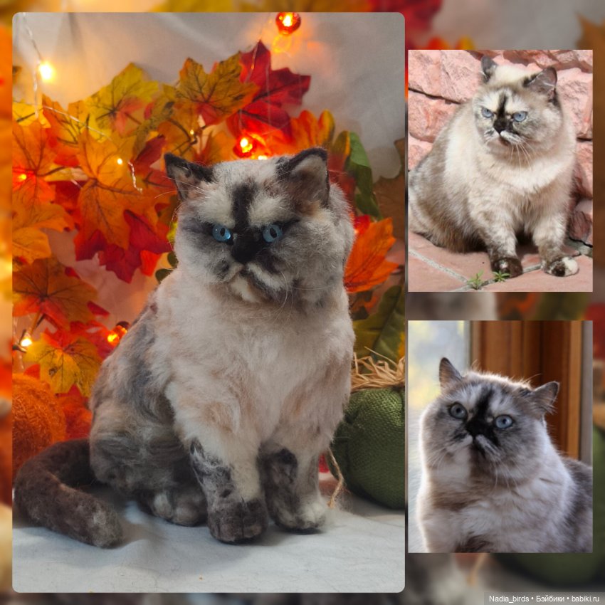 Недобрый вечер. Котопортрет-) (фото 4)