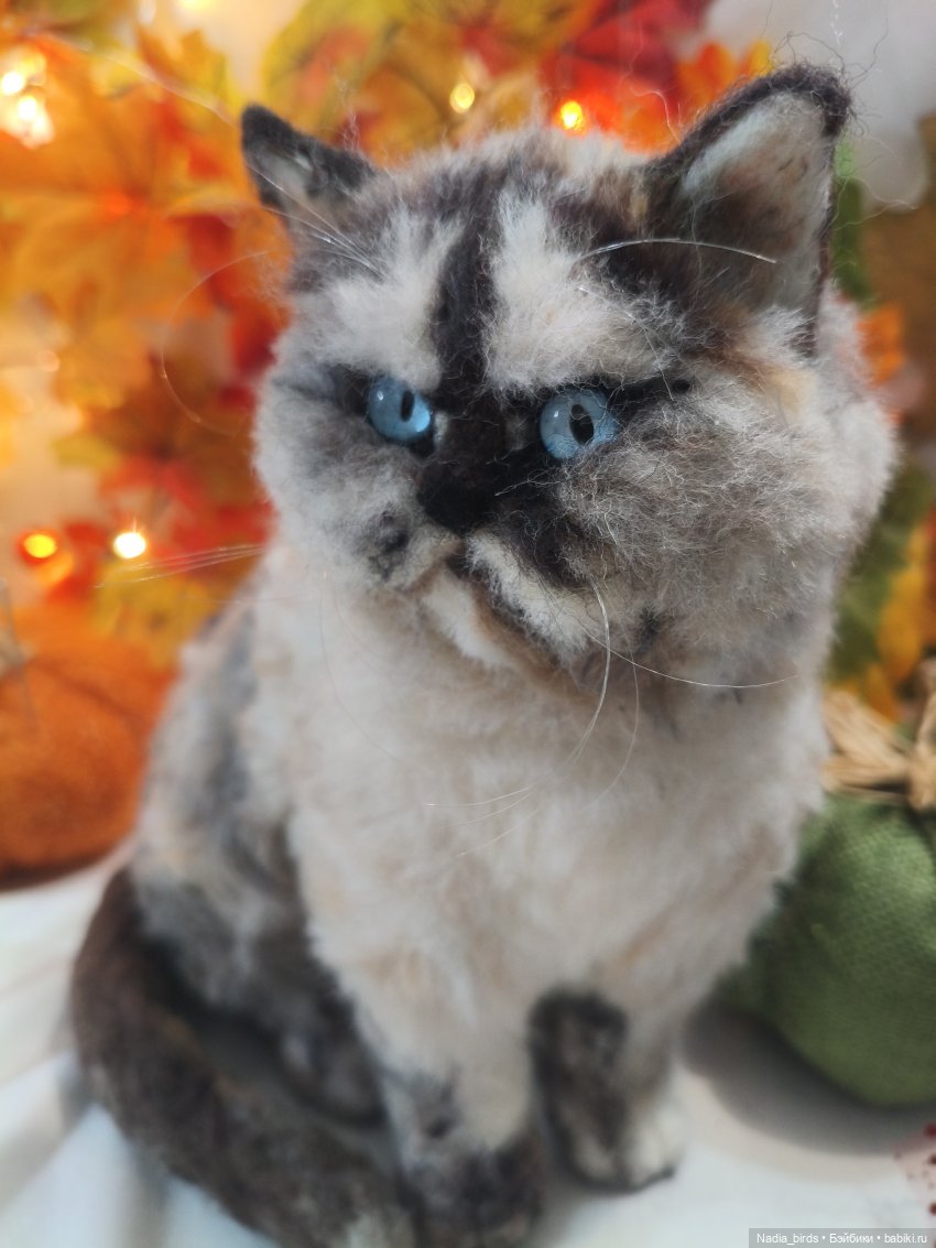 Недобрый вечер. Котопортрет-) (фото 6)