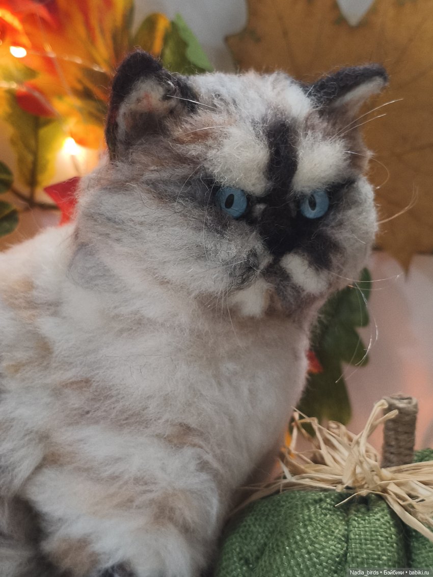 Недобрый вечер. Котопортрет-) (фото 5)