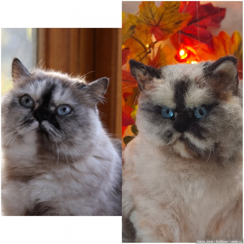 Недобрый вечер. Котопортрет-) (фото 2)