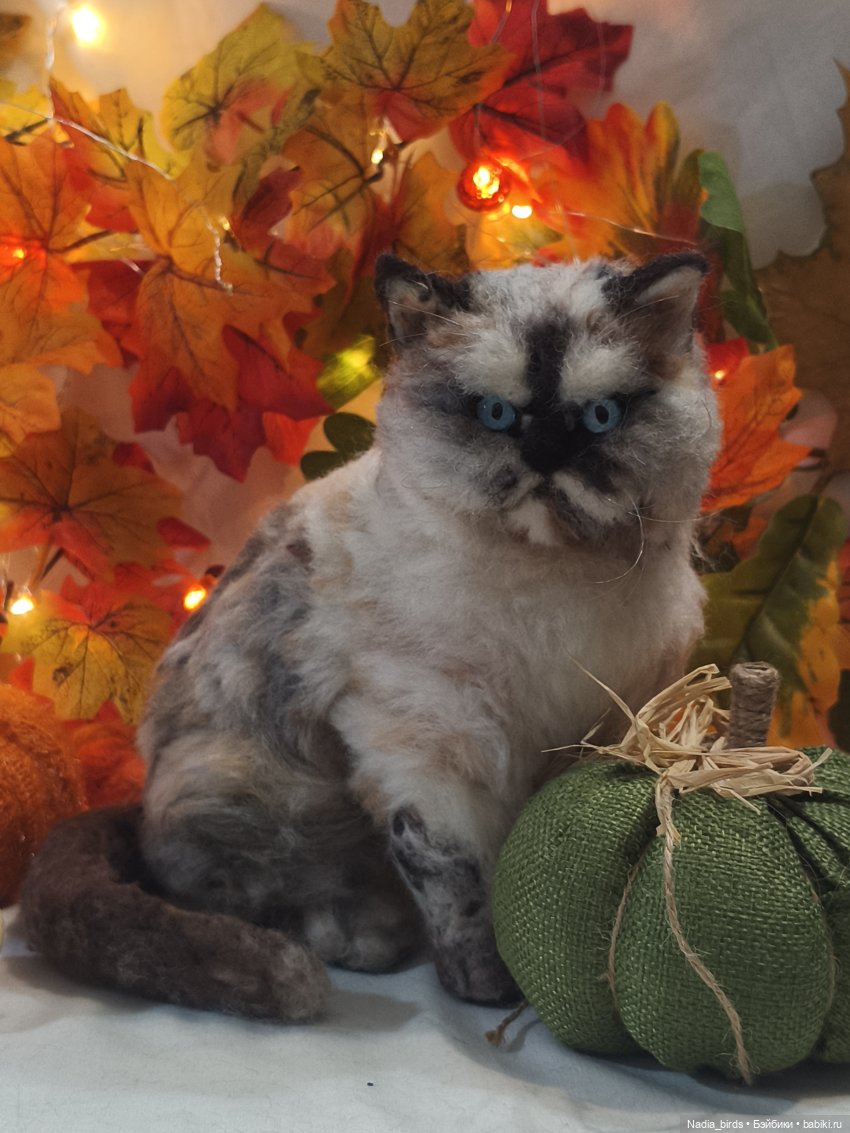 Недобрый вечер. Котопортрет-)