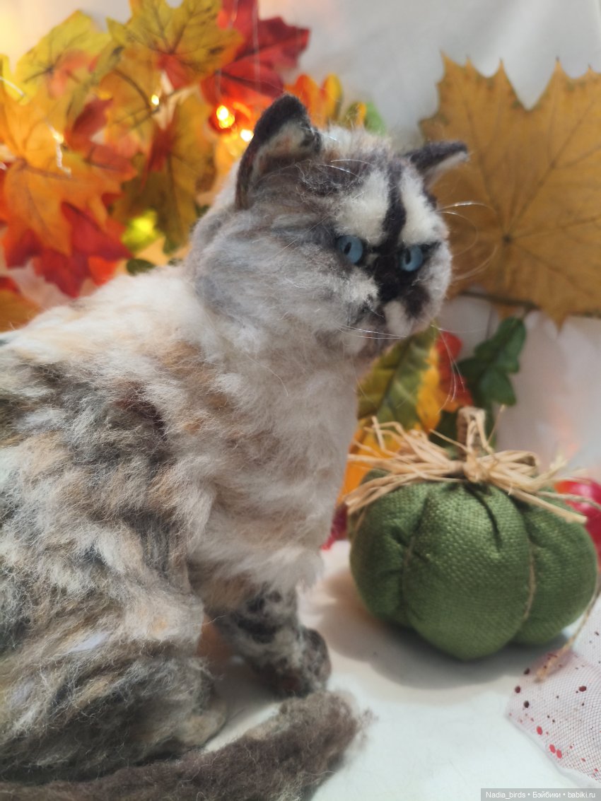 Недобрый вечер. Котопортрет-) (фото 8)