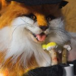 Лисичка ведьма