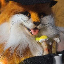 Лисичка ведьма