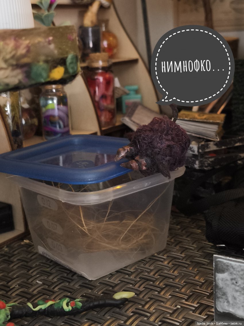 Ведьмолавка. Несчастный случай