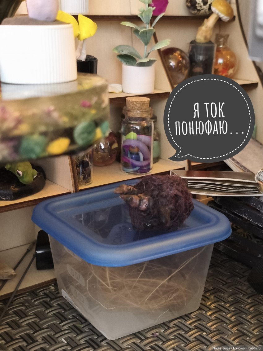 Ведьмолавка. Несчастный случай