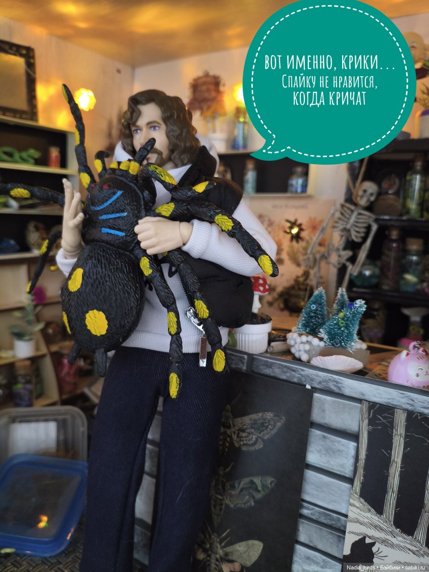 Ведьмолавка. Несчастный случай