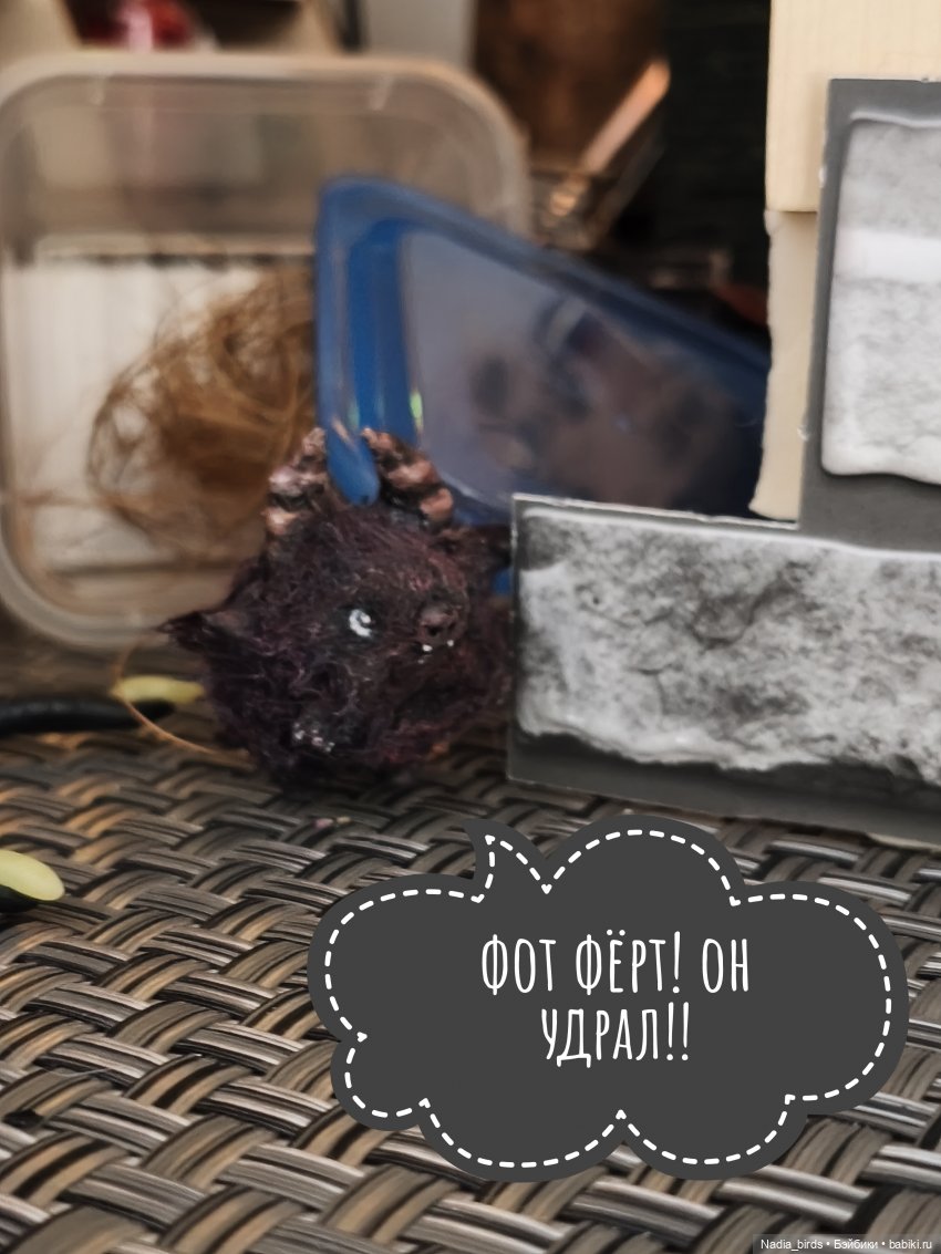 Ведьмолавка. Несчастный случай