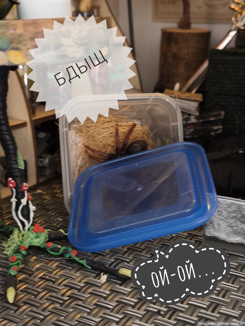 Ведьмолавка. Несчастный случай