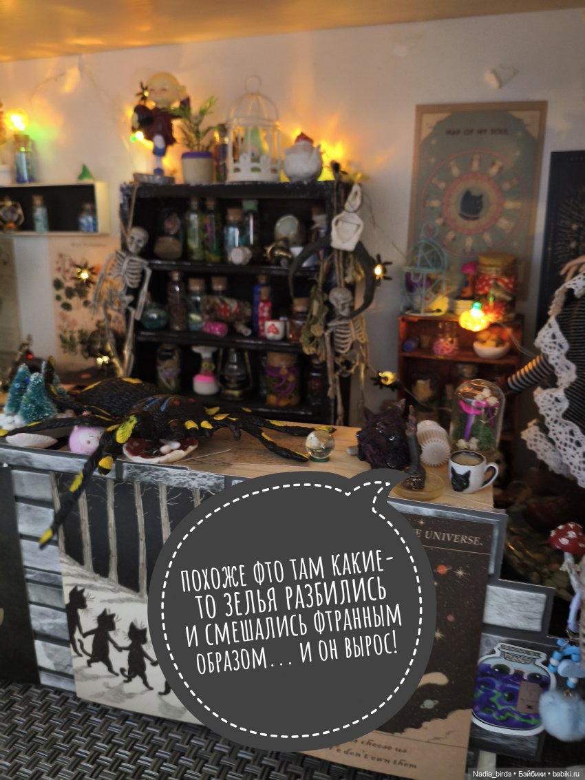 Ведьмолавка. Несчастный случай