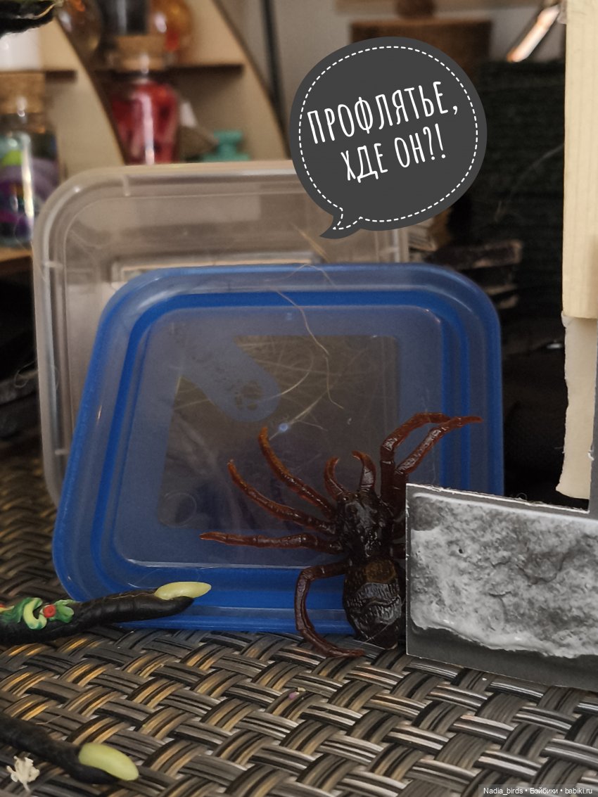 Ведьмолавка. Несчастный случай